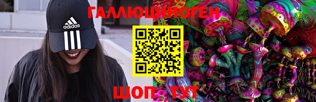 Псилоцибиновые грибы GOLDEN TEACHER Чернушка